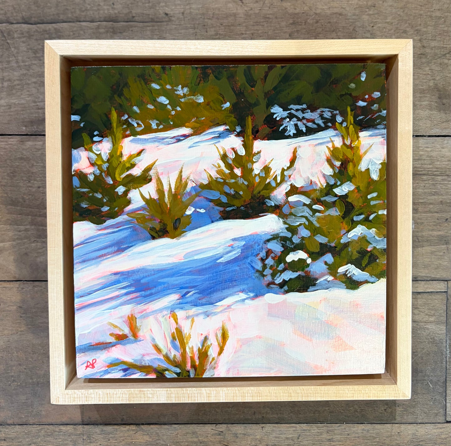 Sunspell on Snow by Amy Peterman