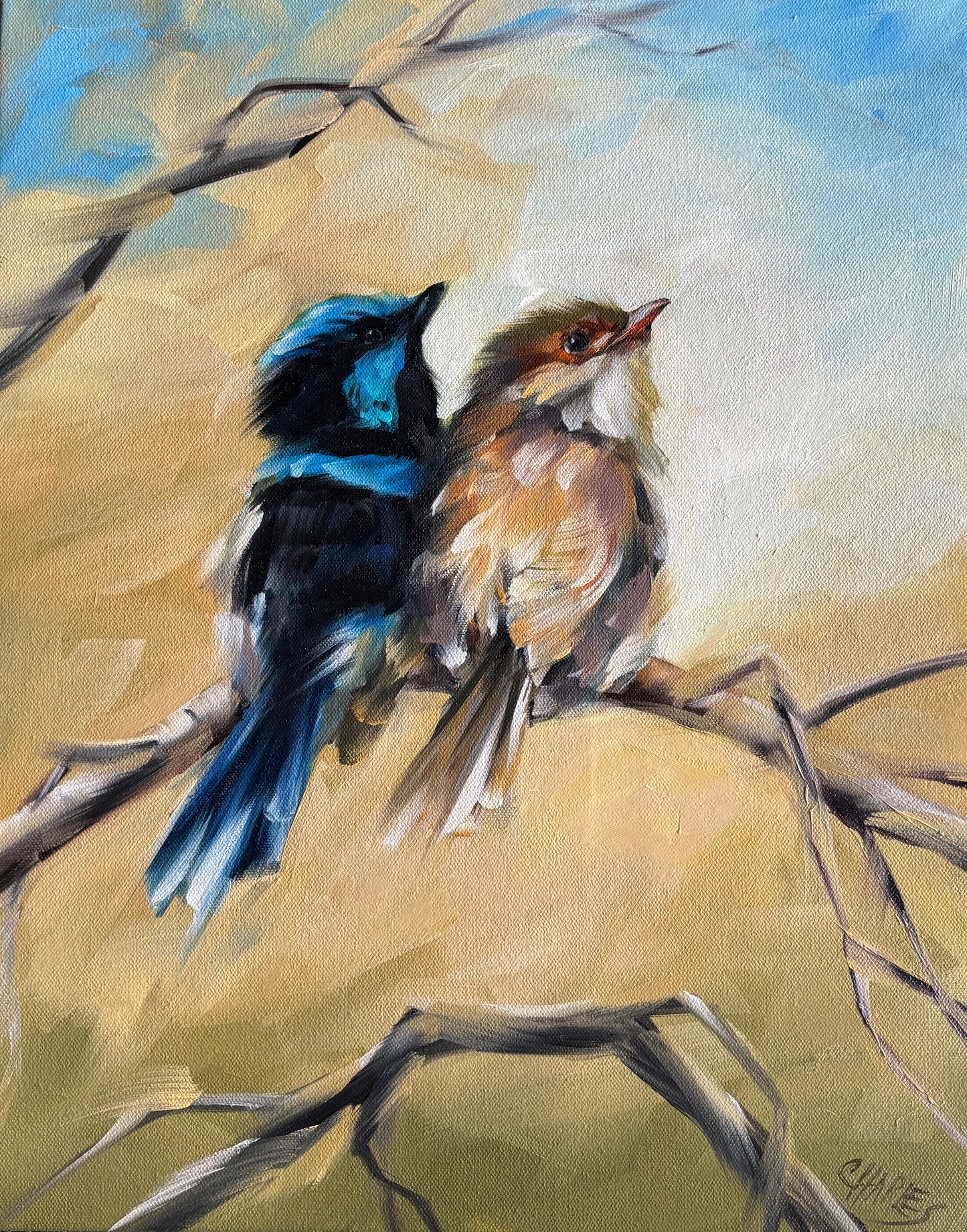 Look, Blue Sky! by Beth Charles