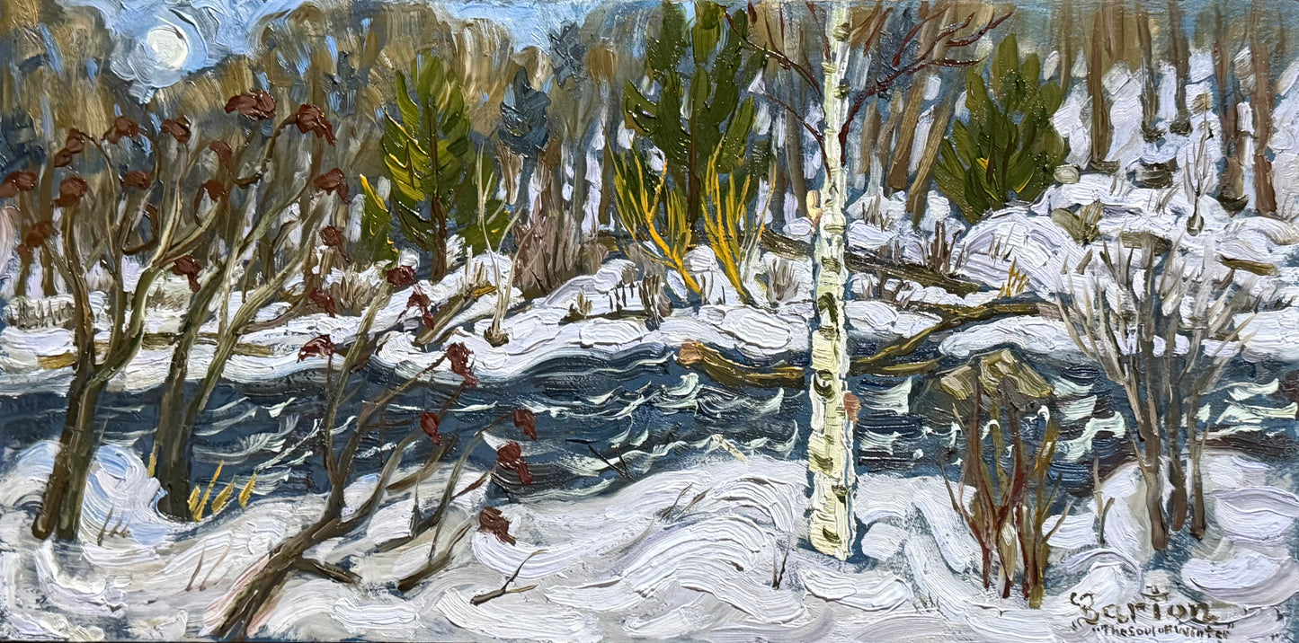 The Soul of Winter by Kevin Barton