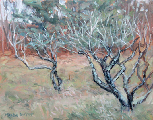 Apple Trees - Very Early Spring by Margie Guyot
