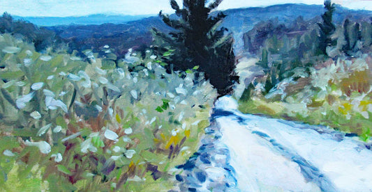 Queen Anne’s Lace Along Mitchell Road by Margie Guyot