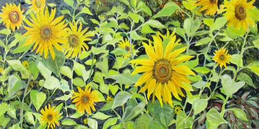Sunflowers by Margie Guyot