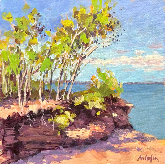 A Superior Day by Kurt Anderson