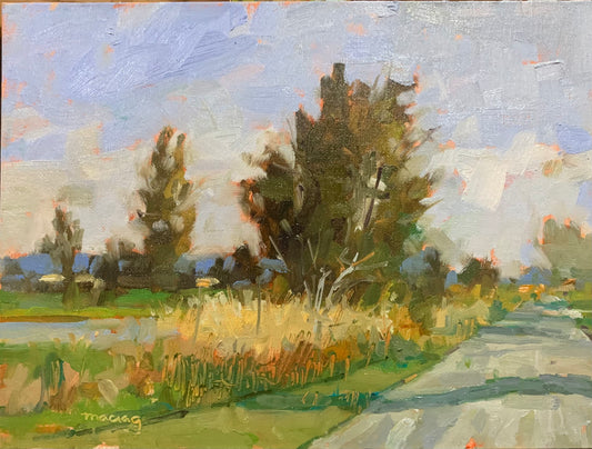 Country View by Alan Maciag