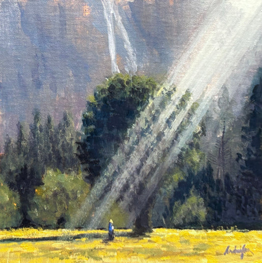 Mountain Meadow Revelation by Kurt Anderson