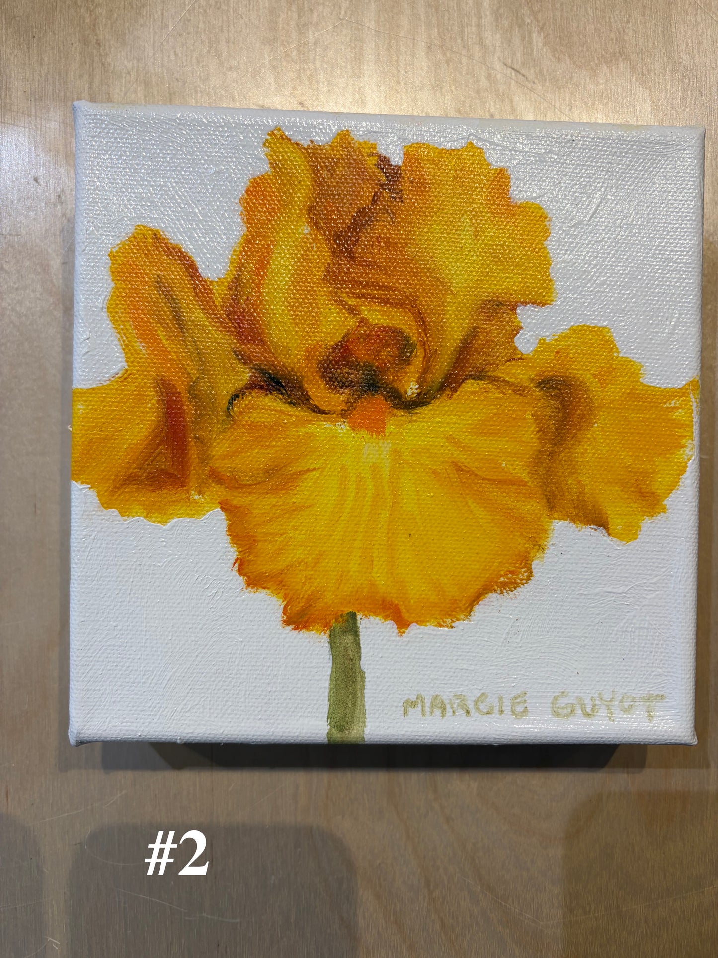 Iris by Margie Guyot