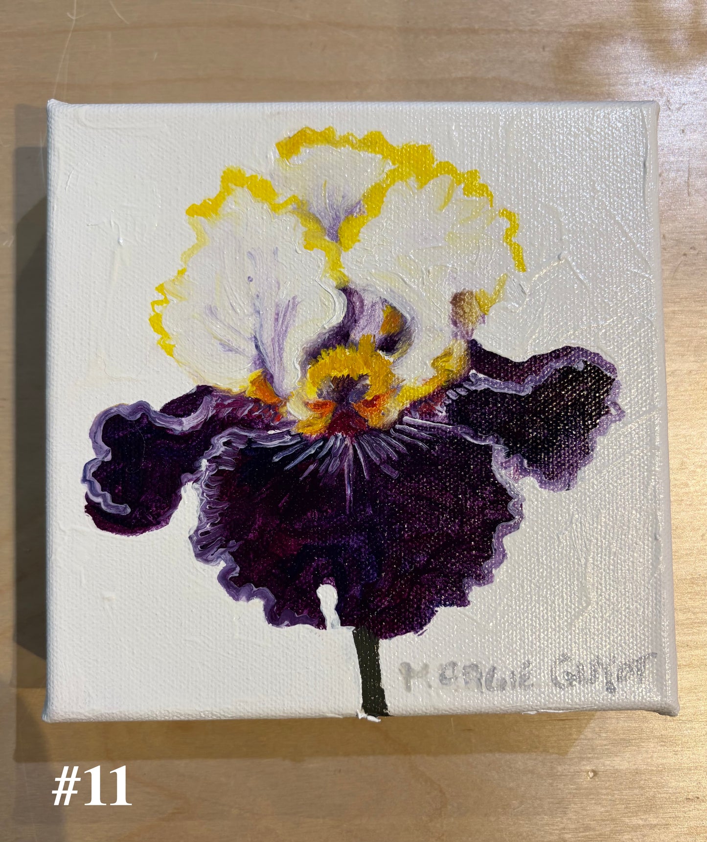 Iris by Margie Guyot