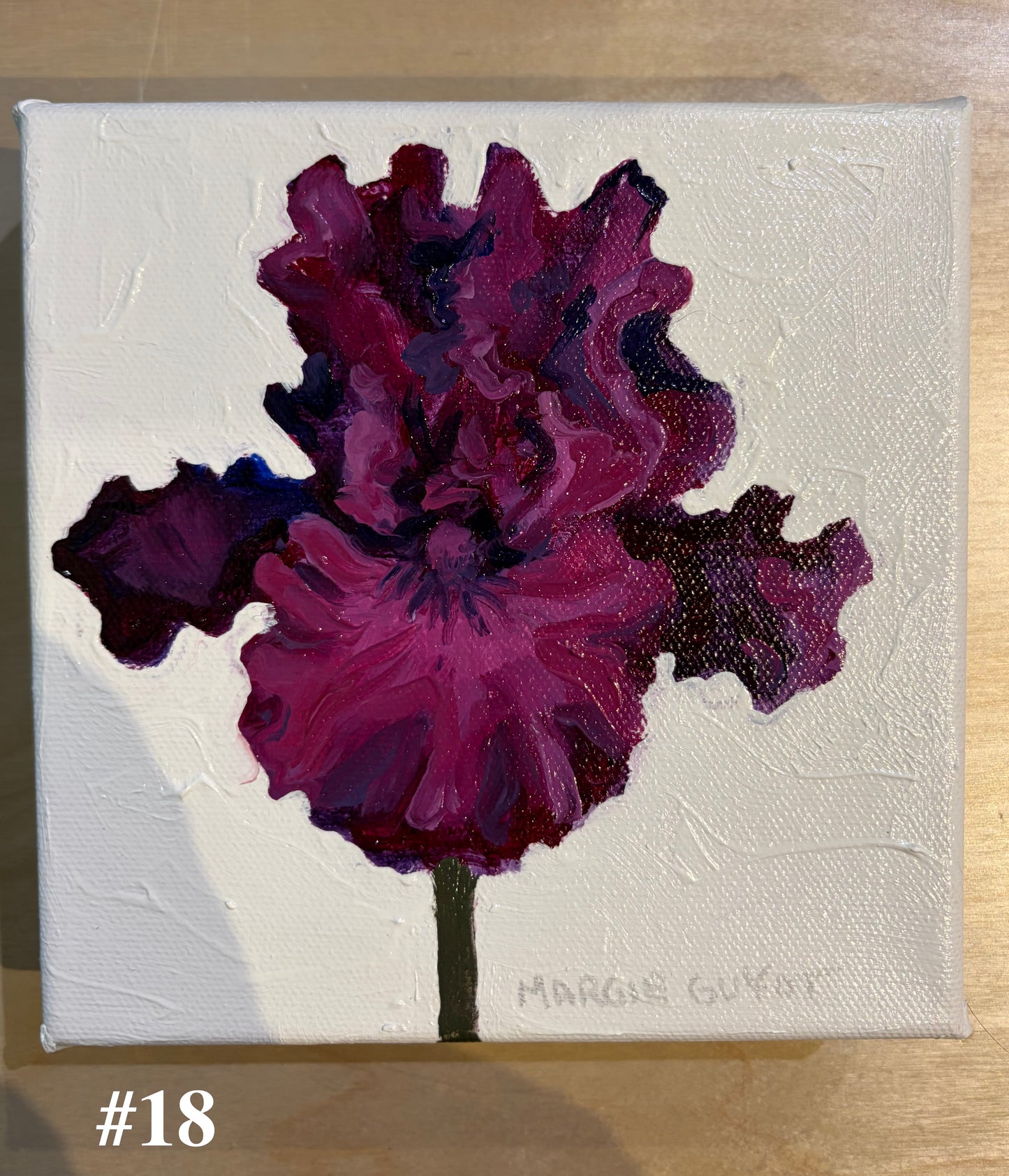 Iris by Margie Guyot