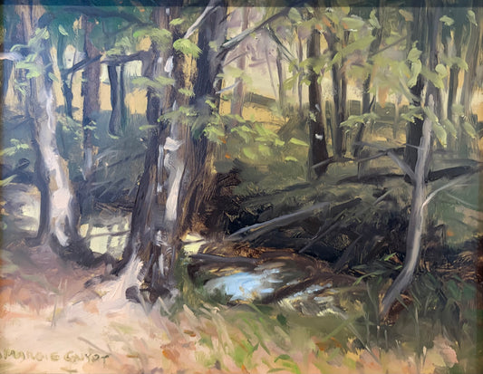 Hot Summer Day along Guyer Creek by Margie Guyot