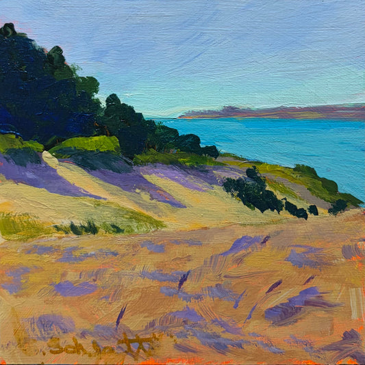Get to the Point by Stephanie Schlatter