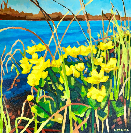 Marsh Marigolds by Carrie Hensel
