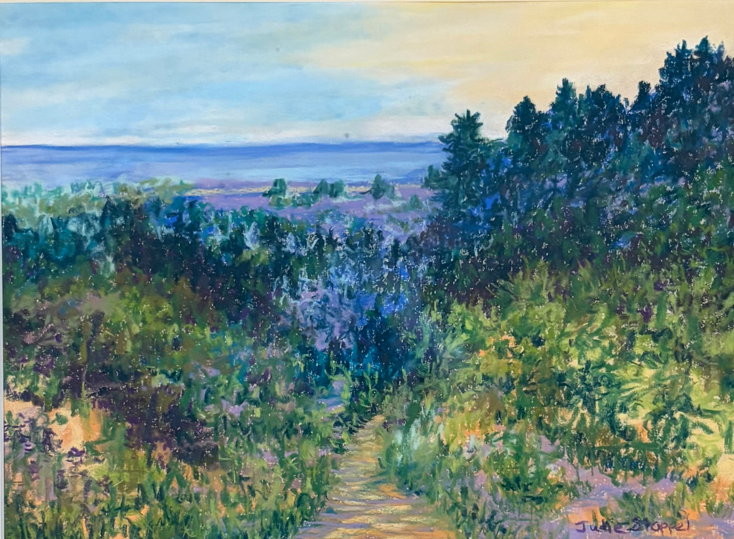 Scenic Overlook by Julie Stoppel