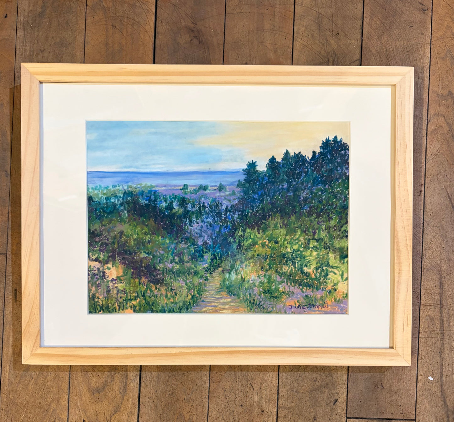 Scenic Overlook by Julie Stoppel
