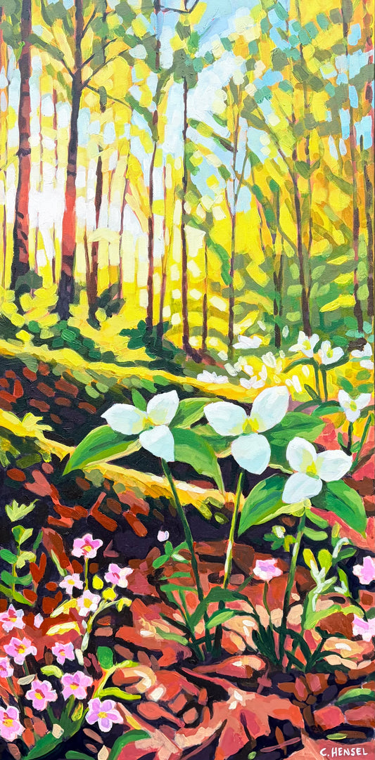 Understory by Carrie Hensel