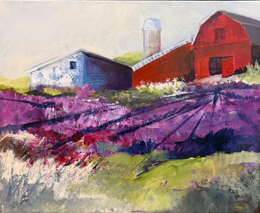 Lavender Hills by Julie Tibus