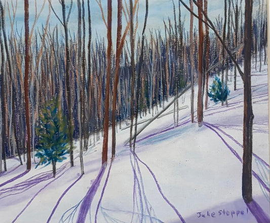 Roger’s Run by Julie Stoppel