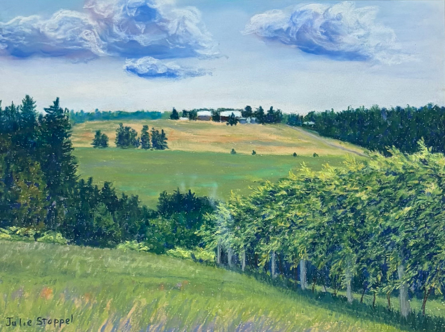 From Spare Key Winery by Julie Stoppel