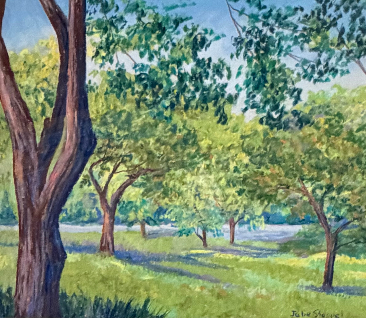 Sun in the Orchard by Julie Stoppel