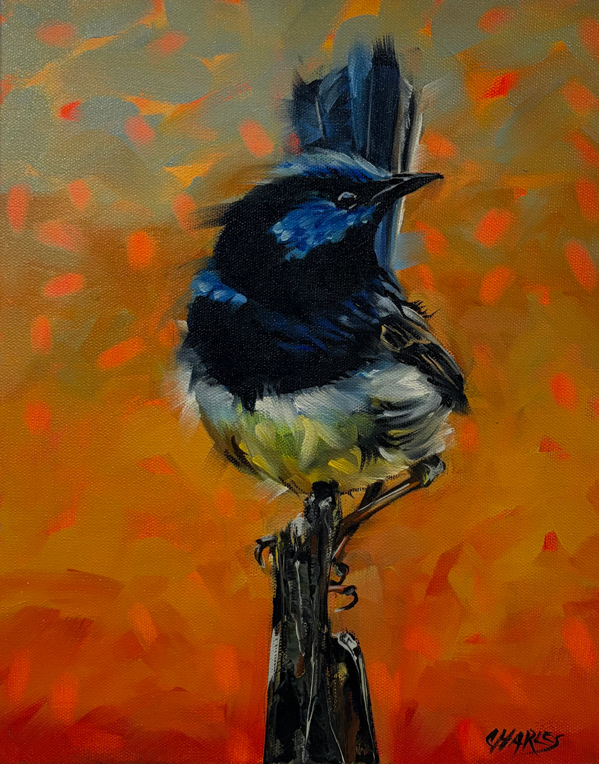 Blue Note by Beth Charles