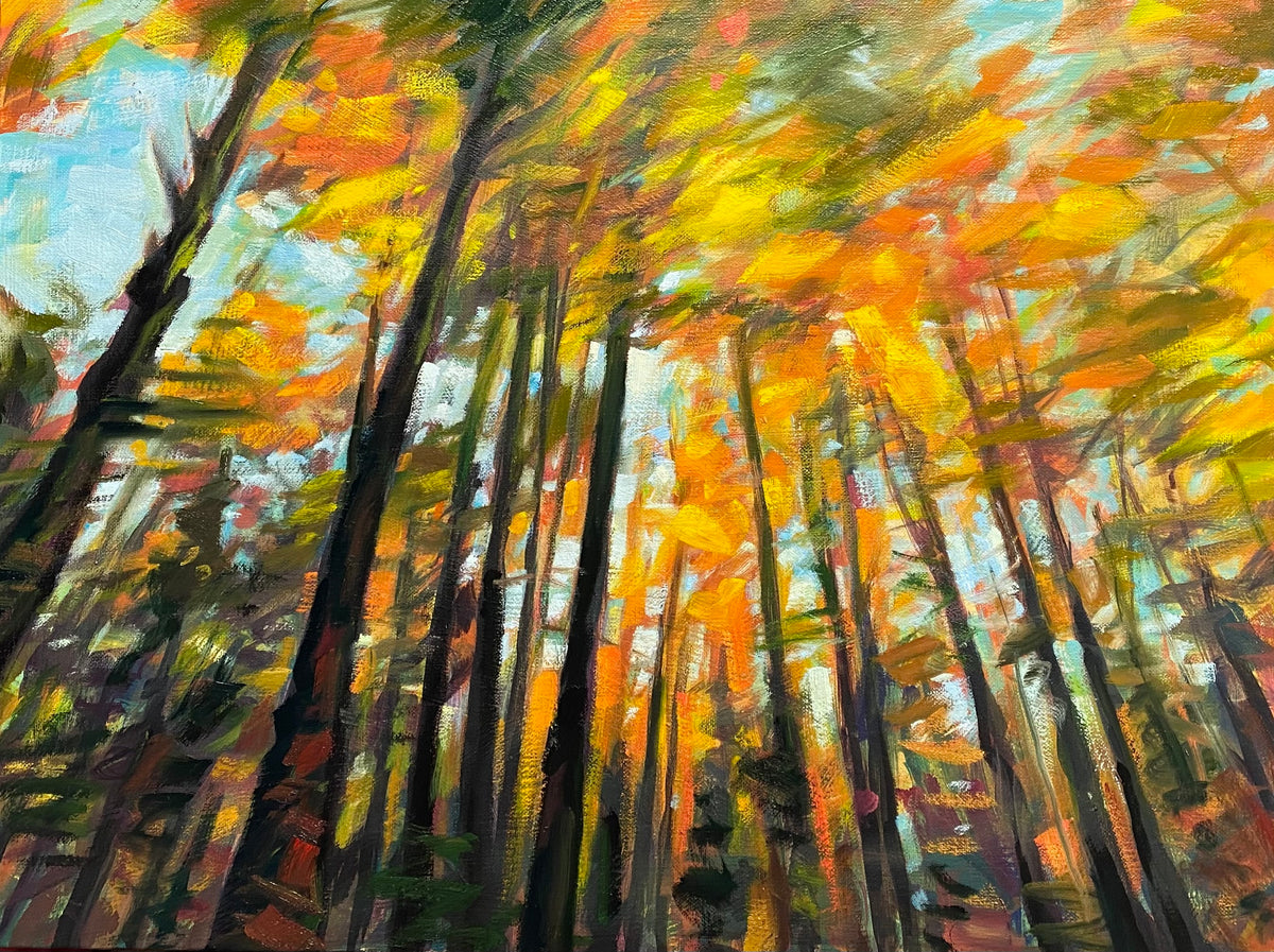 Yellow Maples by John Hubbard