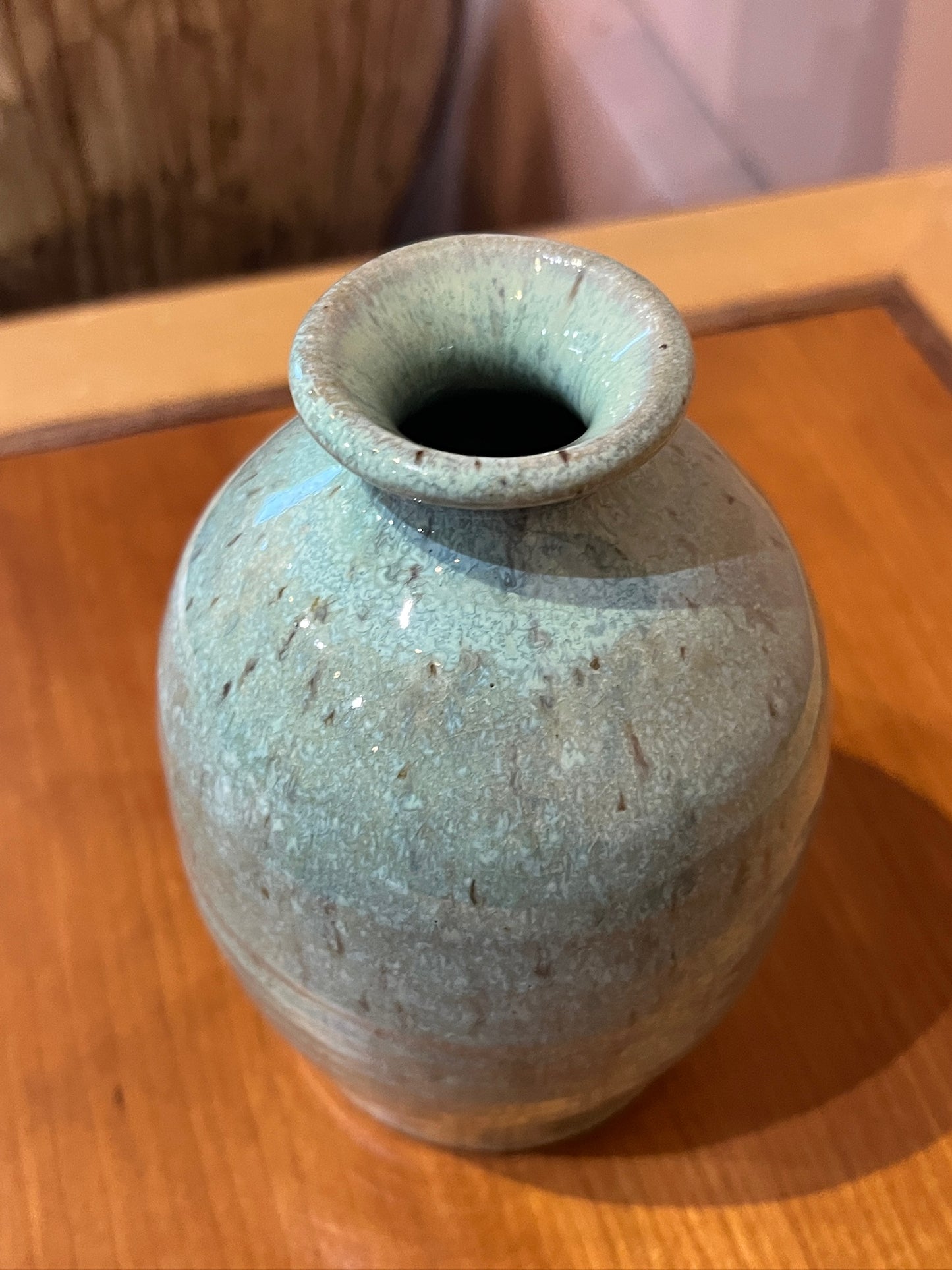 Bottle Vase by Steve Tubbs