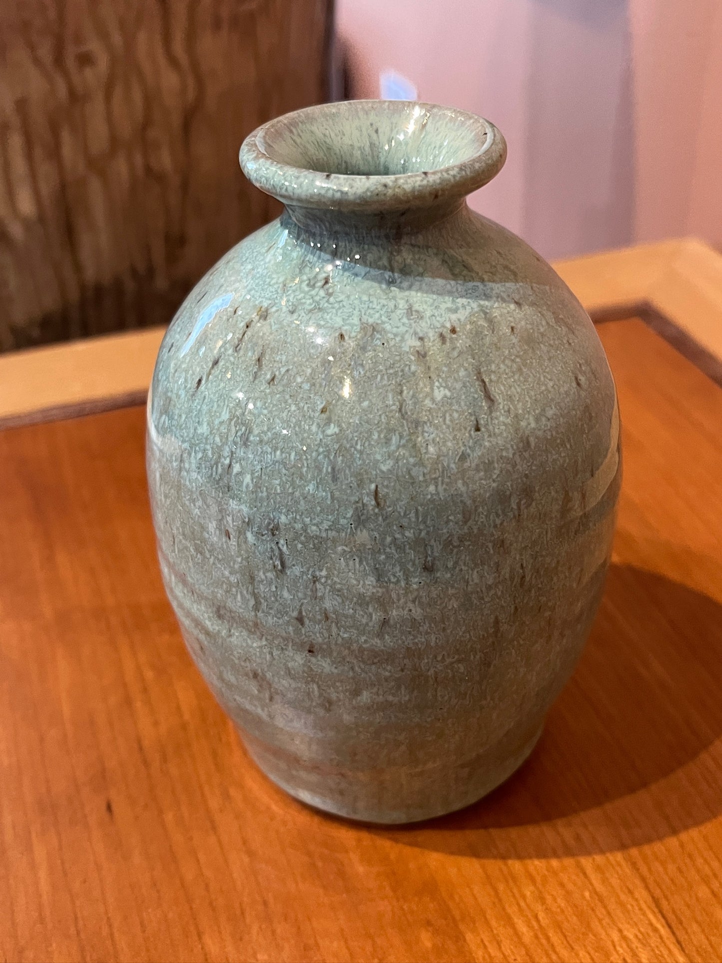 Bottle Vase by Steve Tubbs