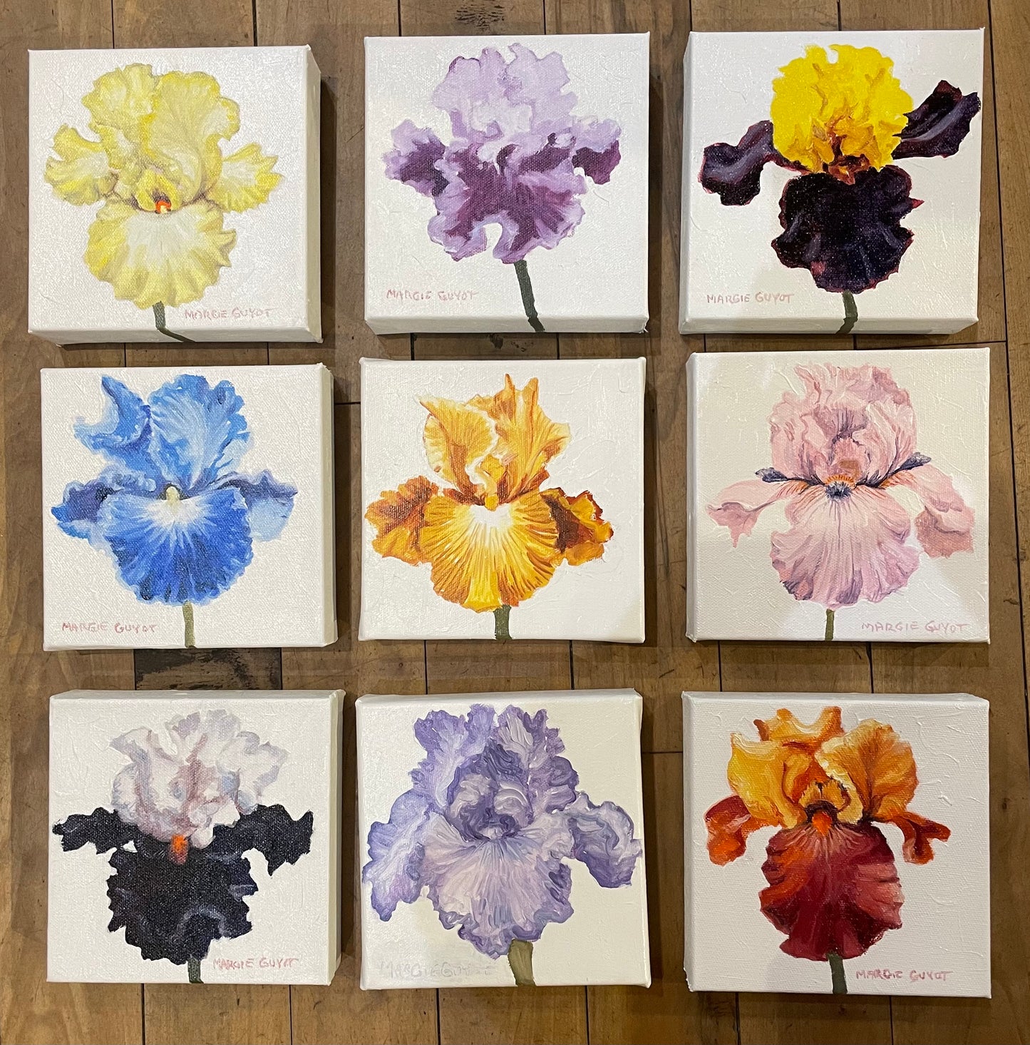 Iris by Margie Guyot