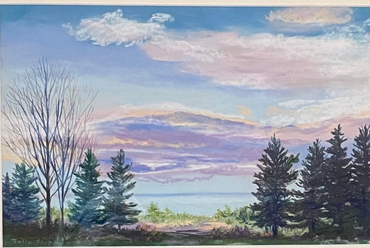 Remember that Sky by Julie Stoppel