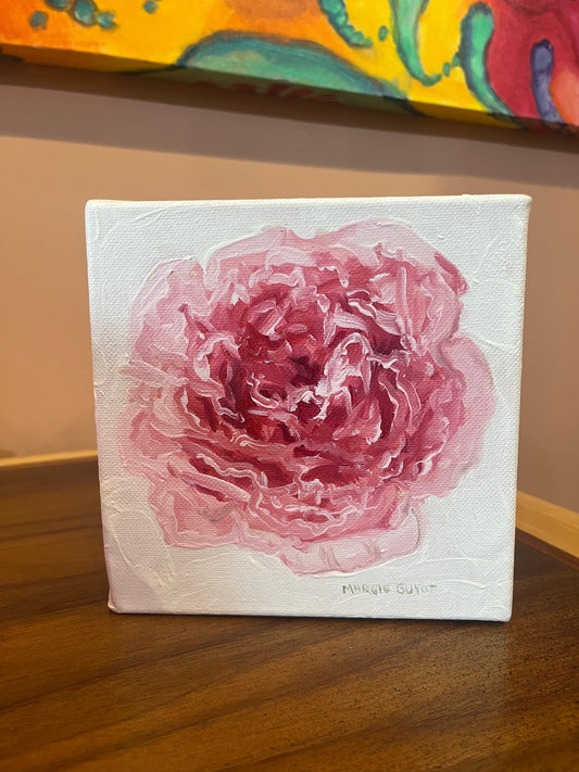 Pink Peony by Margie Guyot