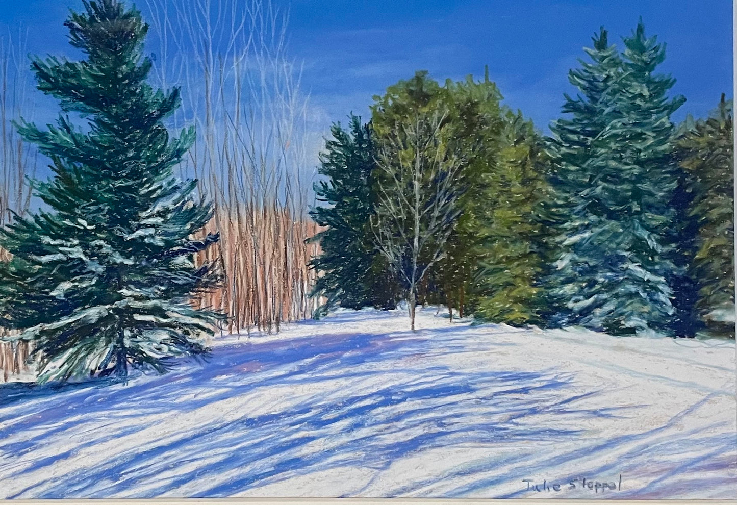 Winter on High Meadow Trail by Julie Stoppel