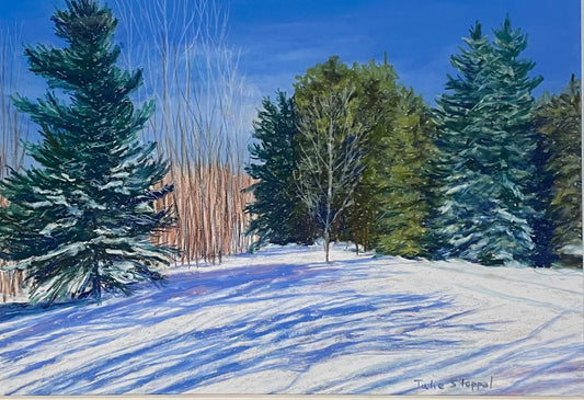Winter on High Meadow Trail by Julie Stoppel