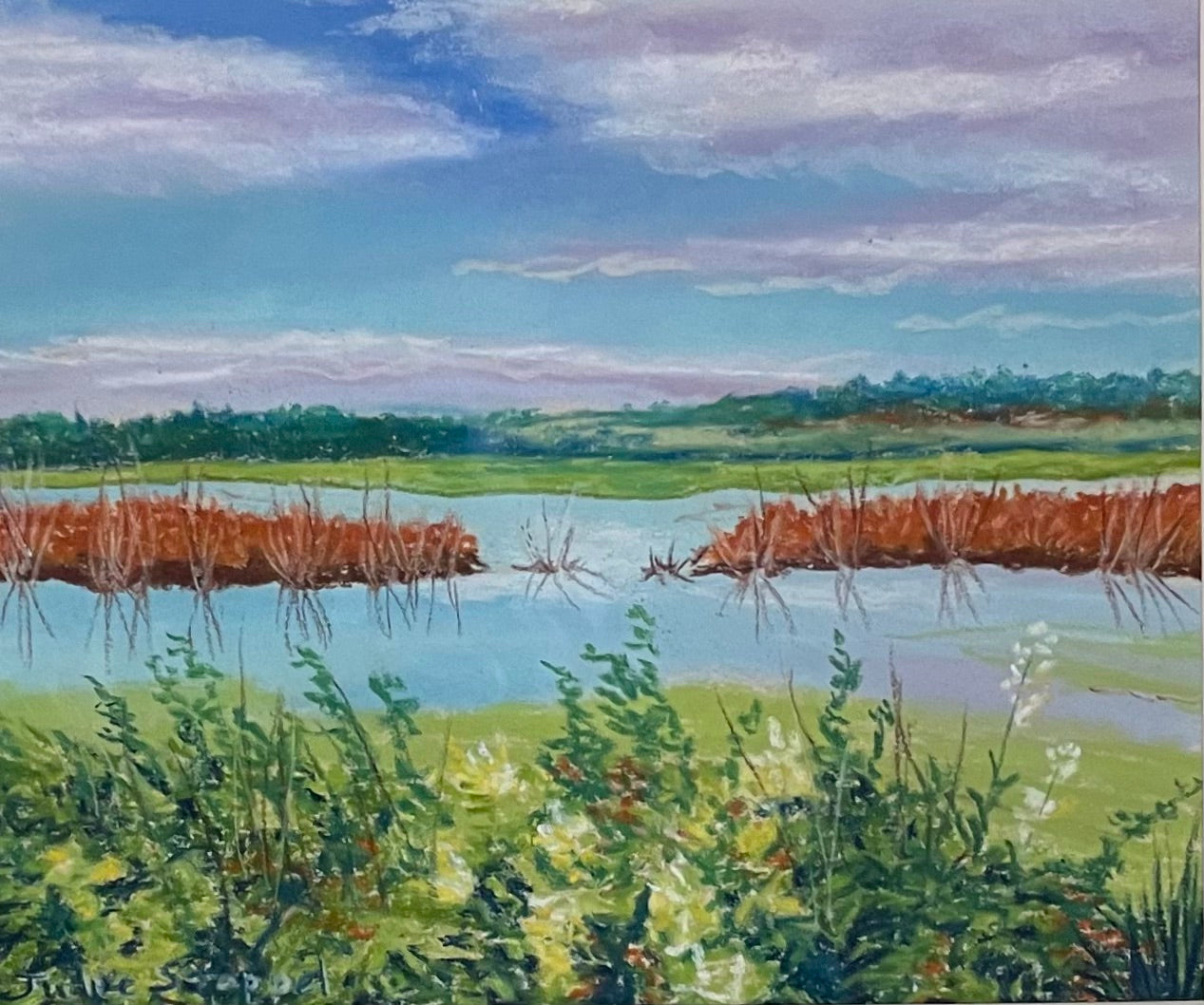 Wetlands by Julie Stoppel