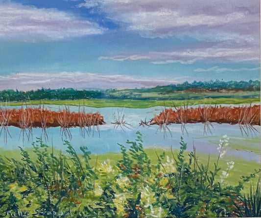 Wetlands by Julie Stoppel