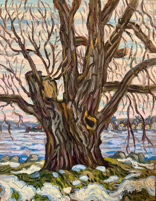 Winters End at the Weque Willow by Kevin Barton