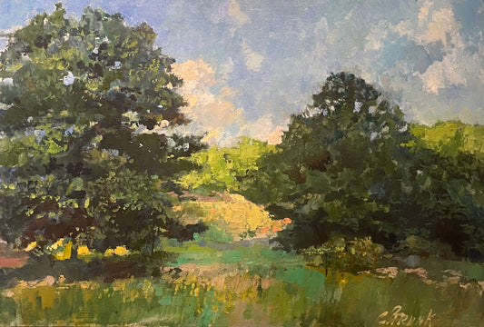 Sunlight and Shadow by Christopher Strunk