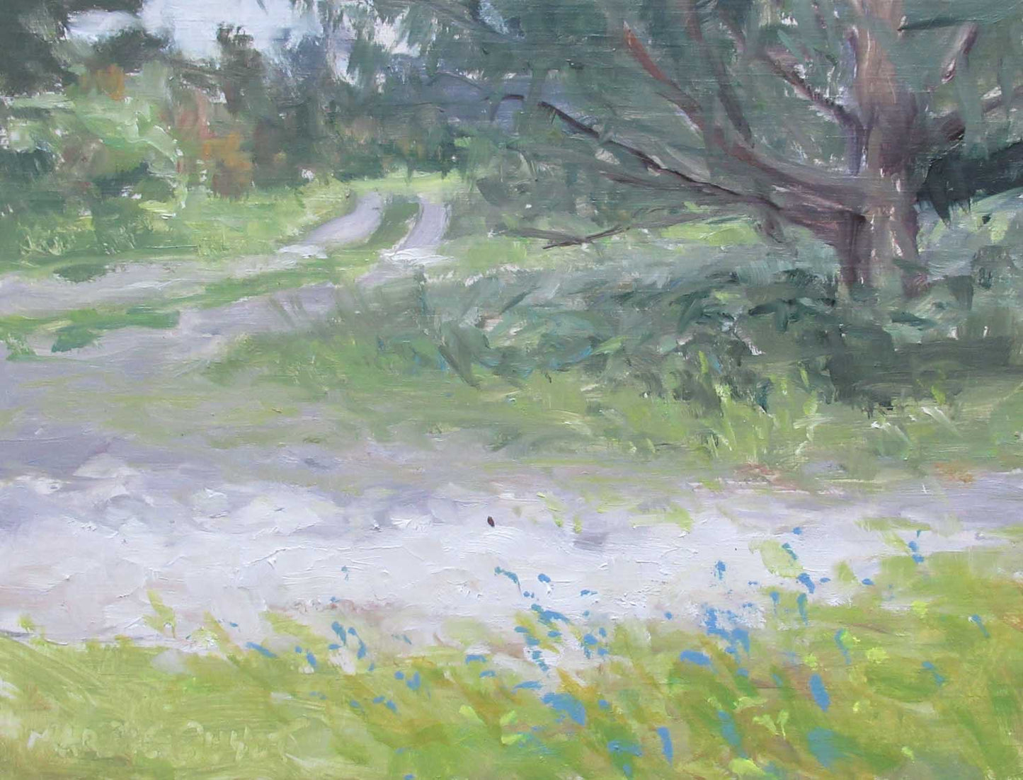 Late Afternoon-My Driveway, Blue Cornflowers by Margie Guyot