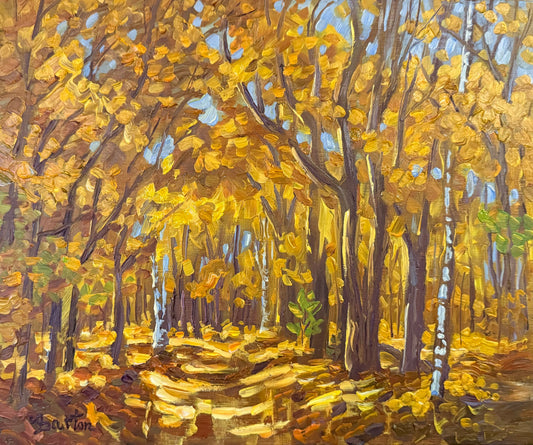 The Yellow Road by Kevin Barton