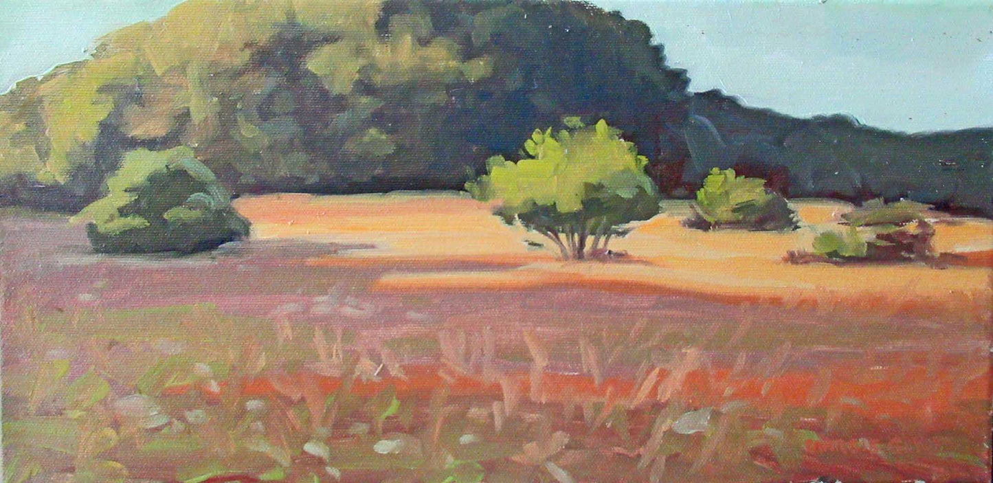 Sunset-August by Margie Guyot