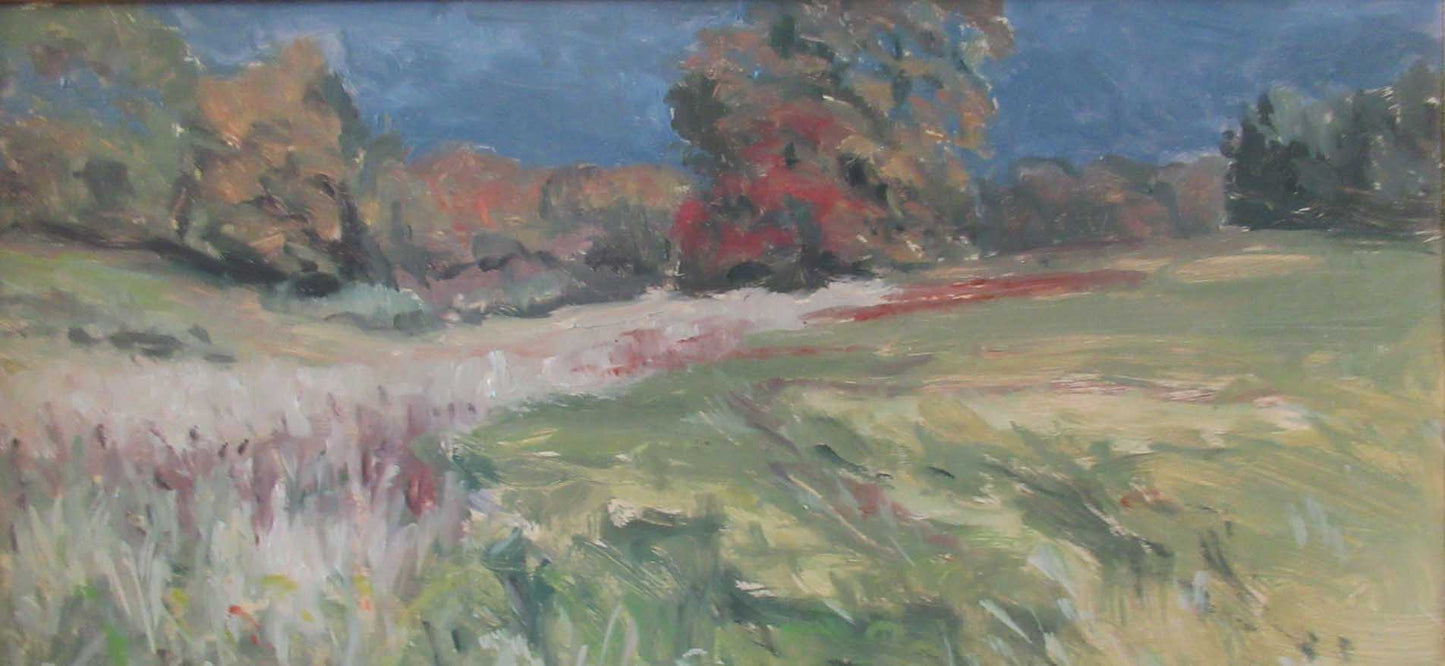 Storm Coming! by Margie Guyot