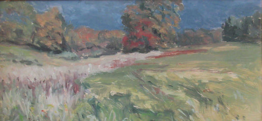 Storm Coming! by Margie Guyot